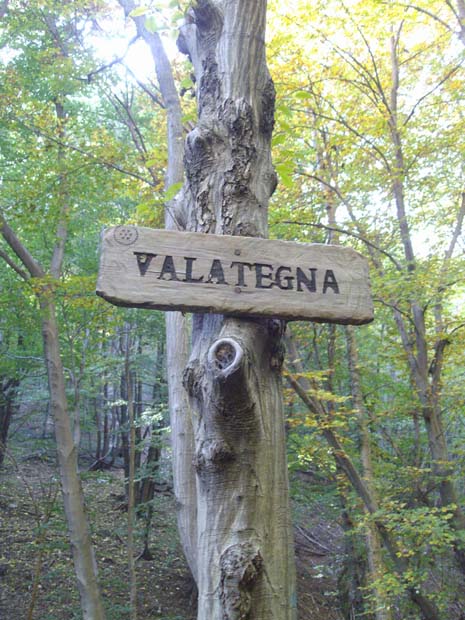 Valategna