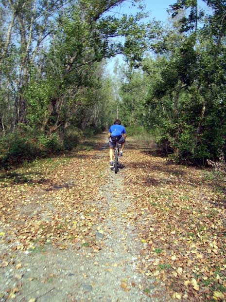 singletrack