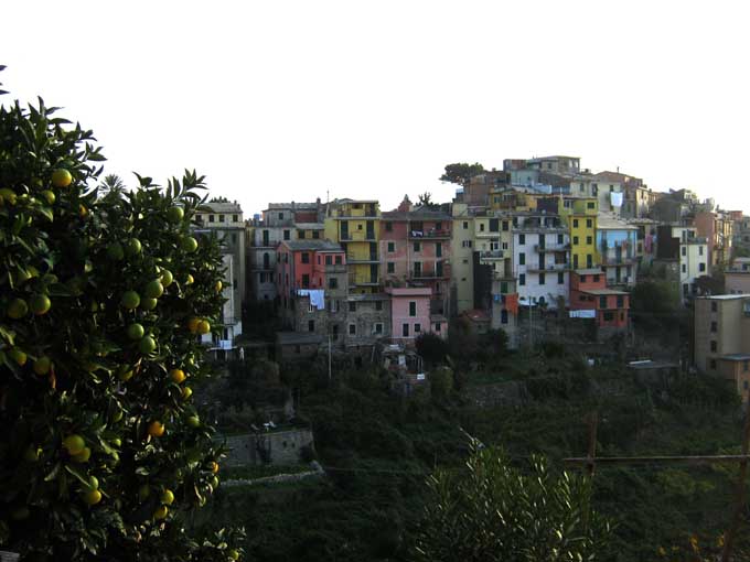 corniglia